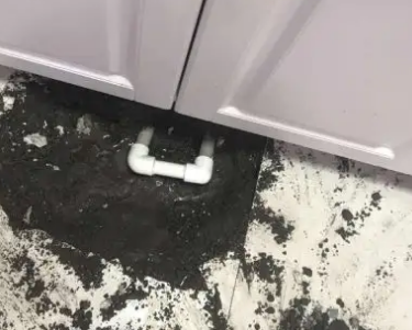 贵定查漏水哪家好